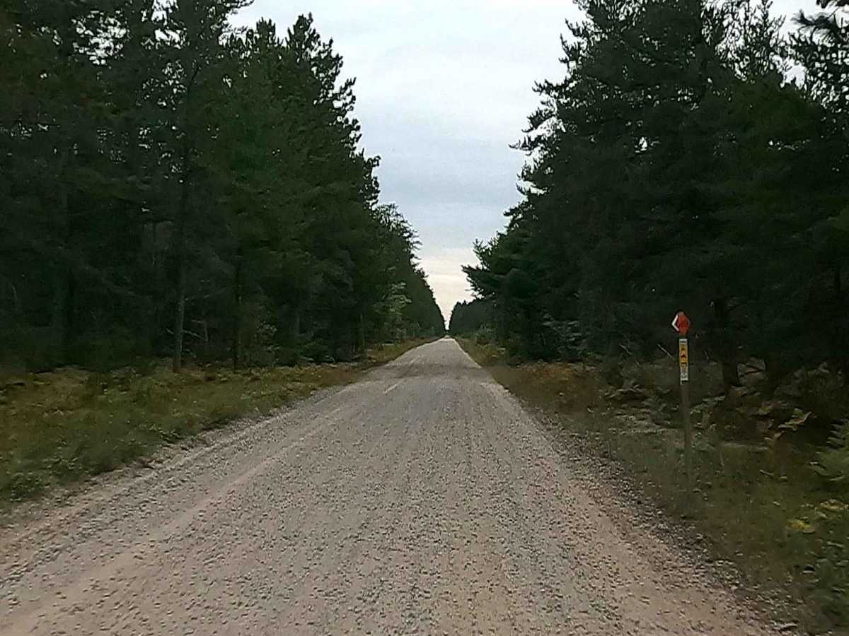 Old Brimley Grade - FS 3153 photo 4