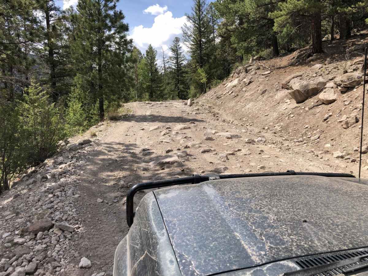 Wheeler Geologic - via Alder Creek (FS610) trail photo