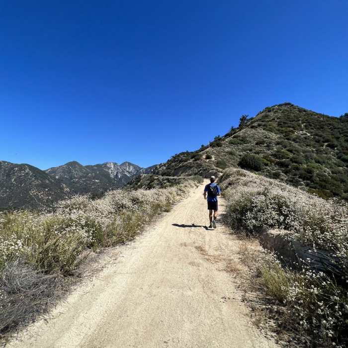 Near Mount Wilson Toll Road