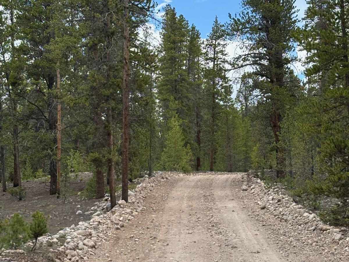 Red Mountain Creek Road photo 3