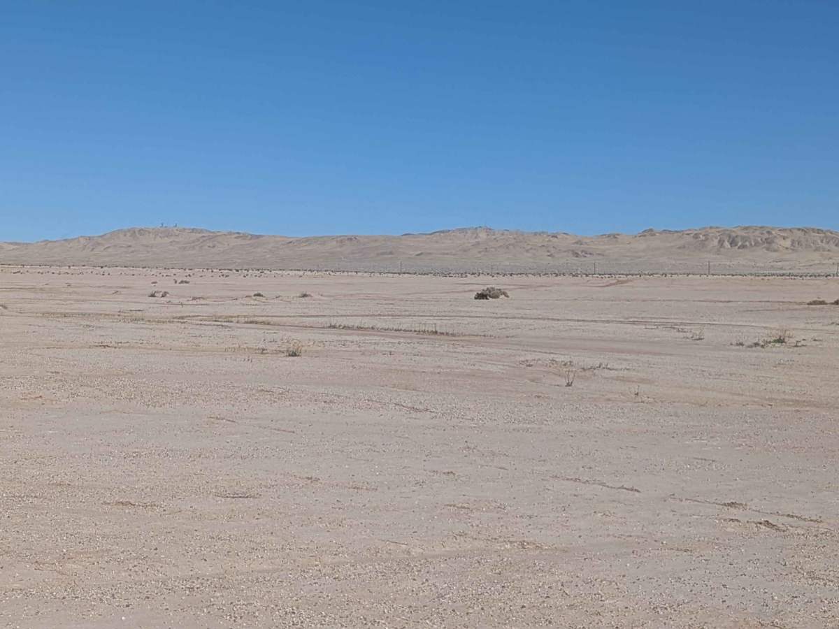 BLM 340 photo 5