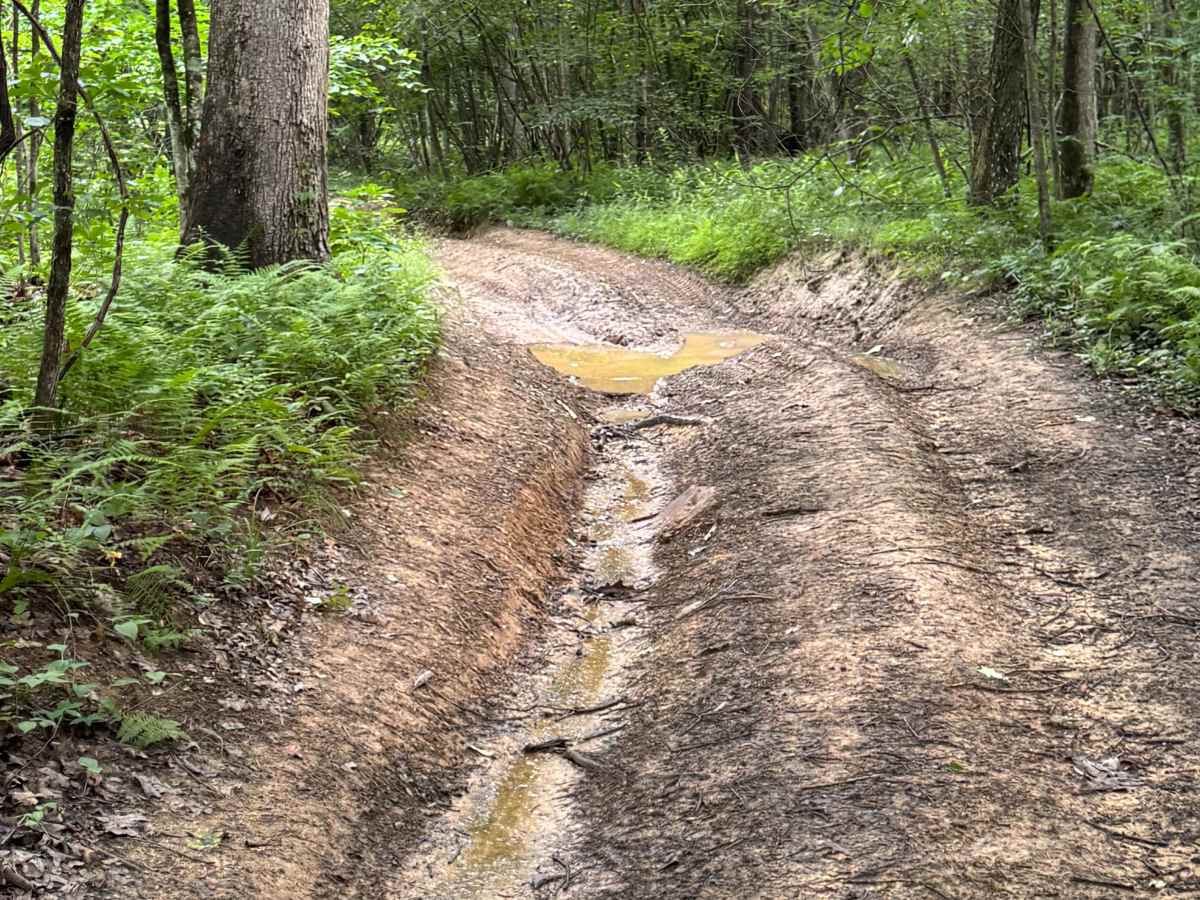 Trail 18  photo 5
