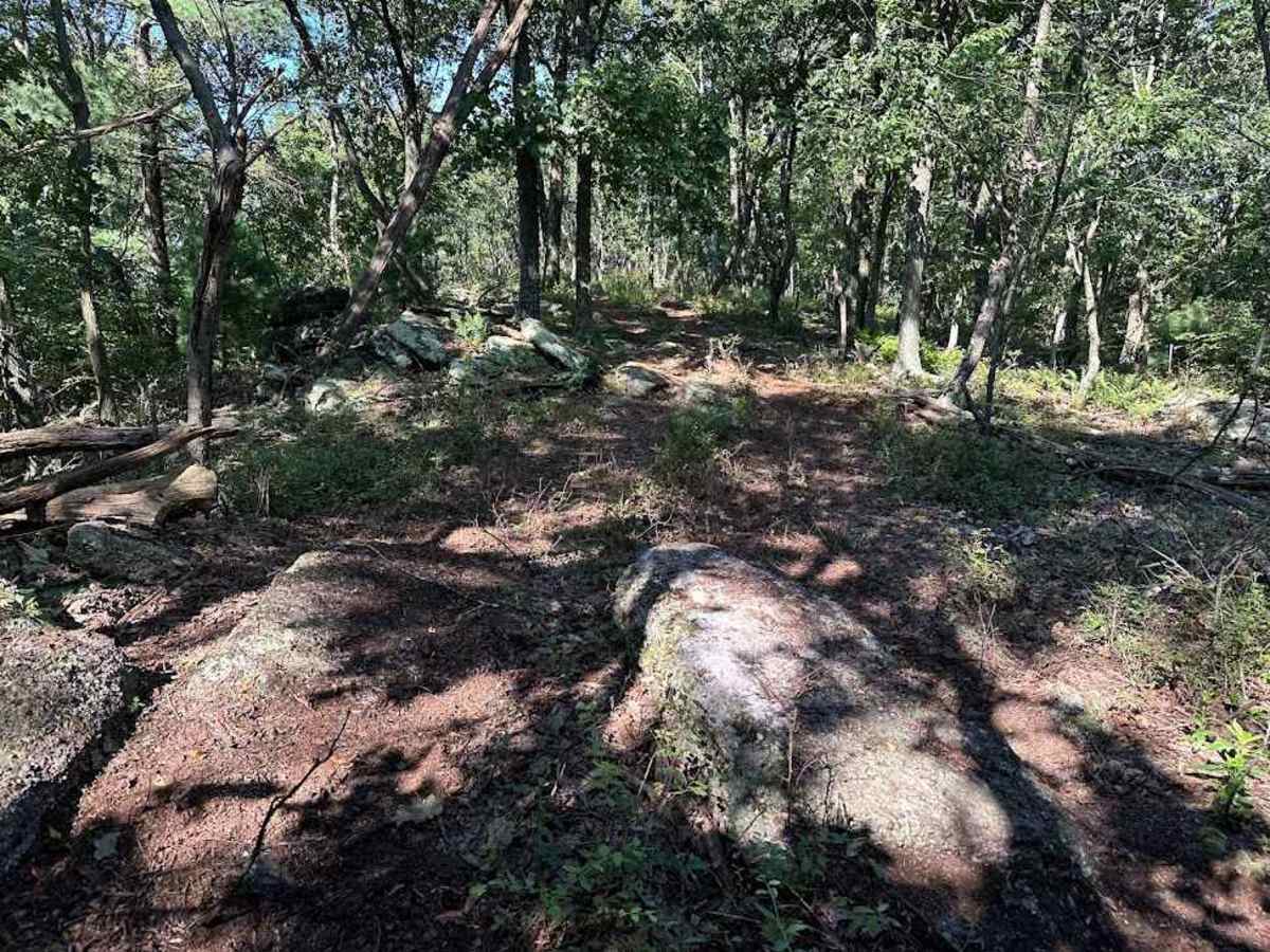 102 Green Spur photo 2