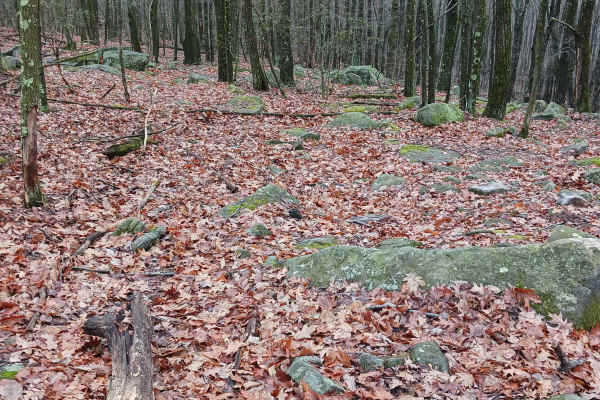 OHV 38 - Rock Run Recreation Area