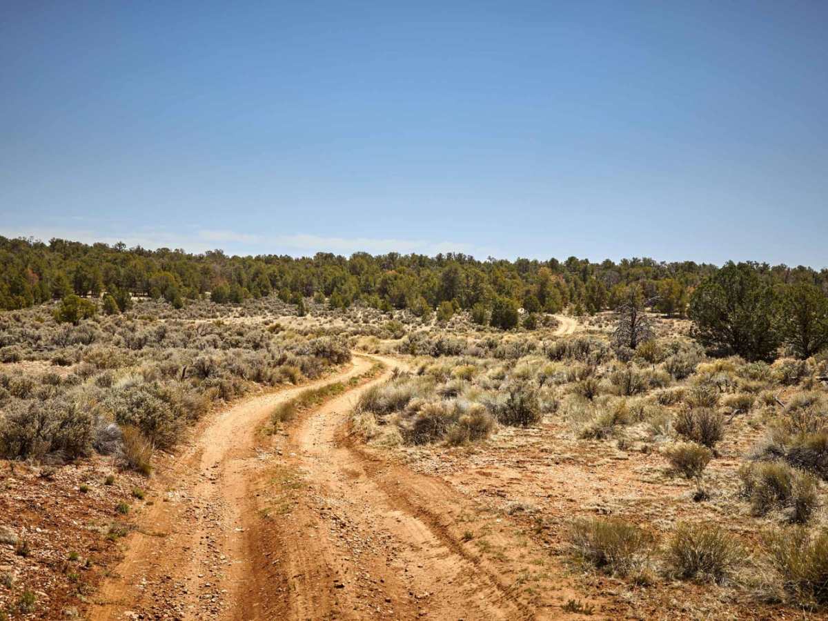 7 Mile Tank Road photo 6