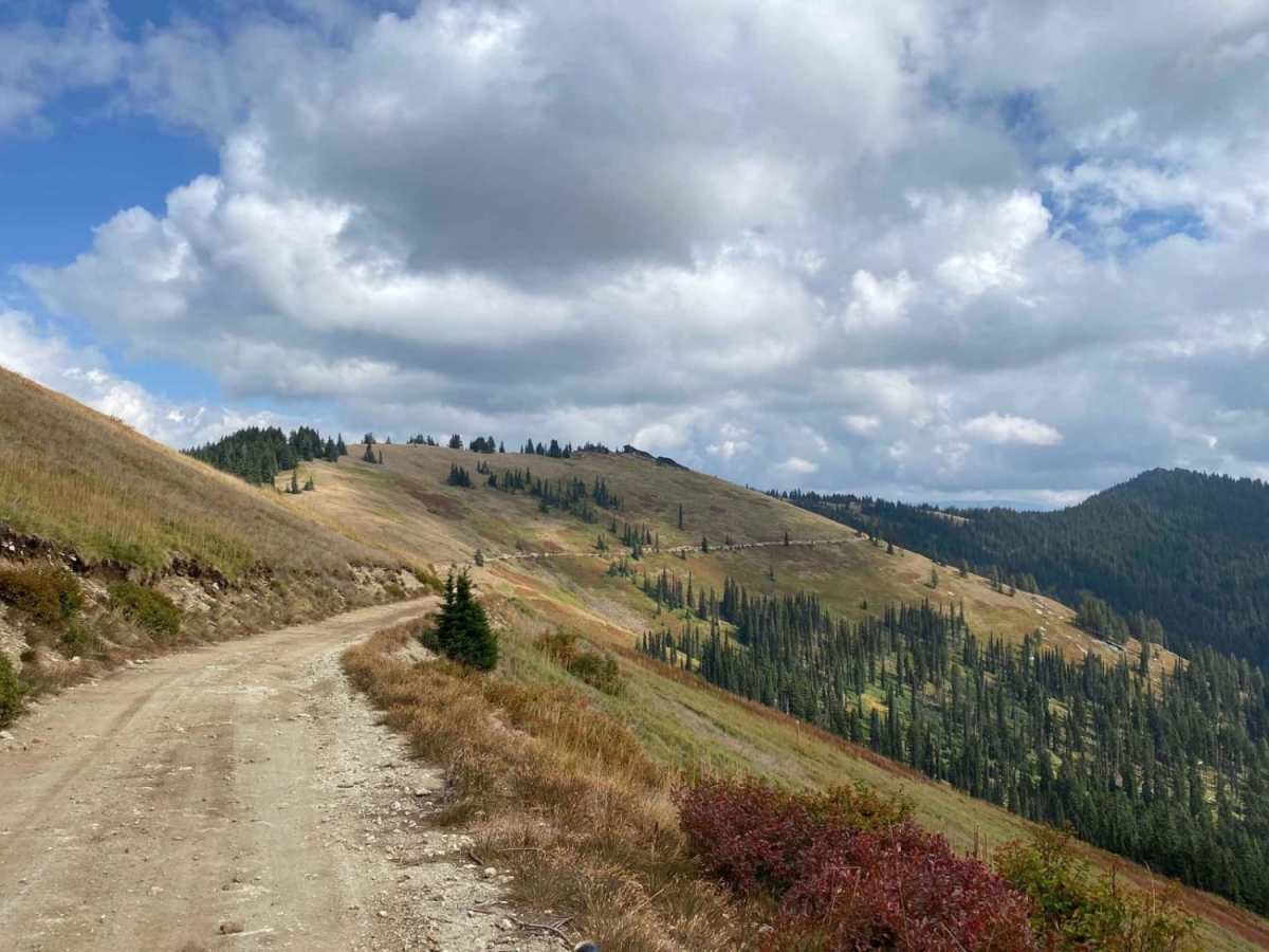 Freezeout trail photo