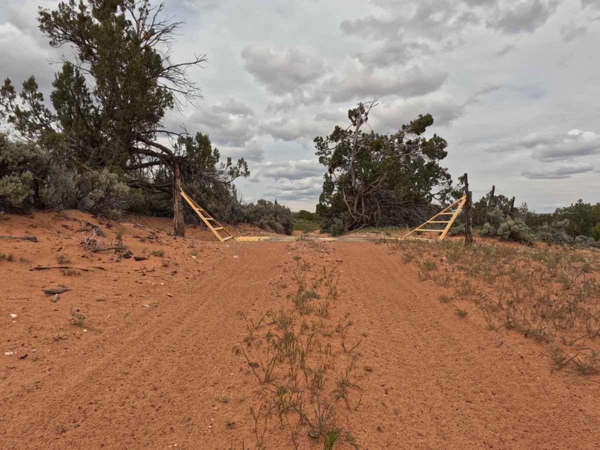BLM 62 photo 3