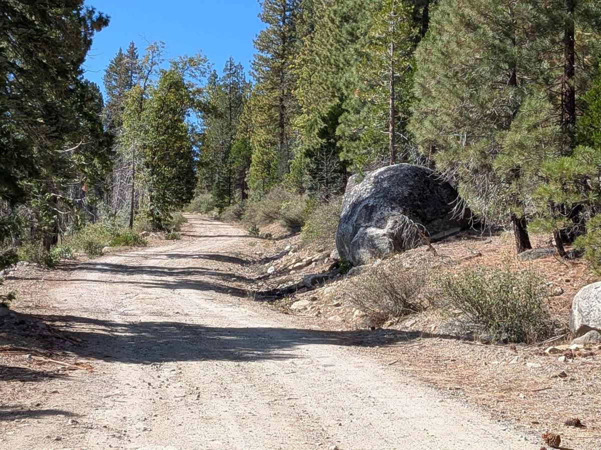 Fence Creek Road - FS 6N06 photo 6