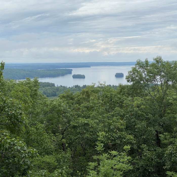 Near Mount Phillip Trail