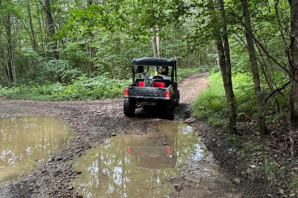 Trail 19