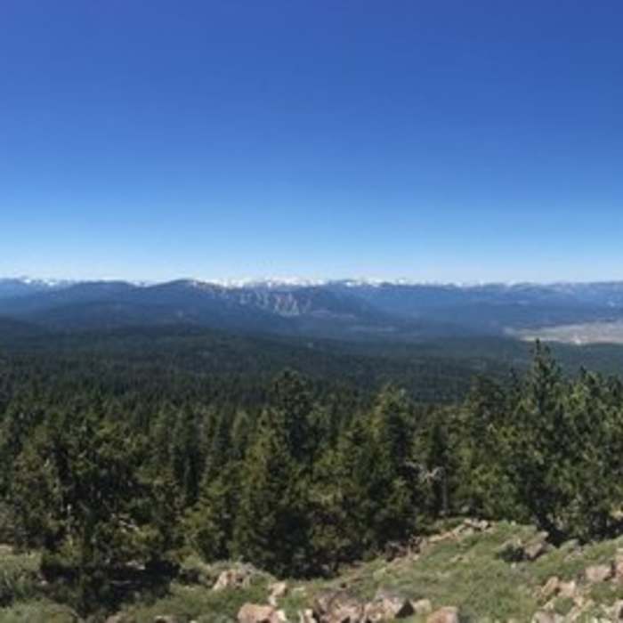 Near Martis Peak Road (16N92)