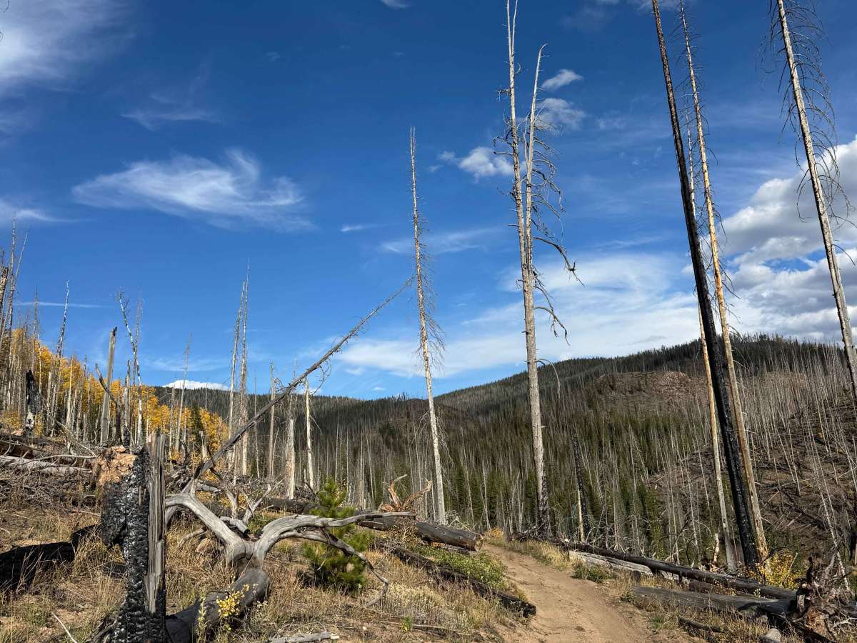 Manzanares Connector Trail photo 5
