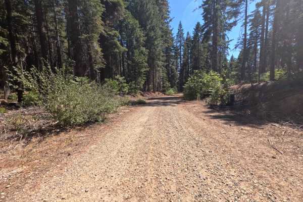 Upper French Creek - FS 21N56