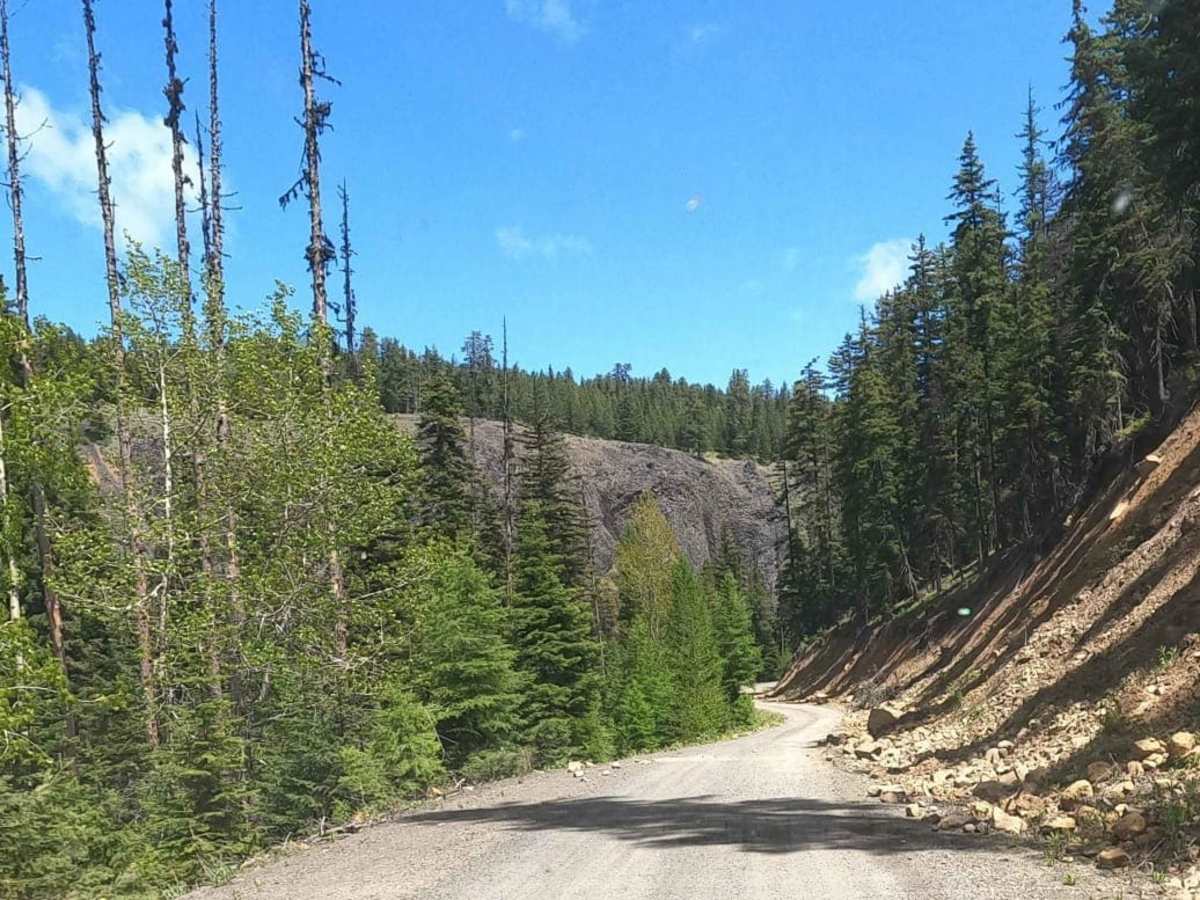 Manastash Road - NF3100 photo 5