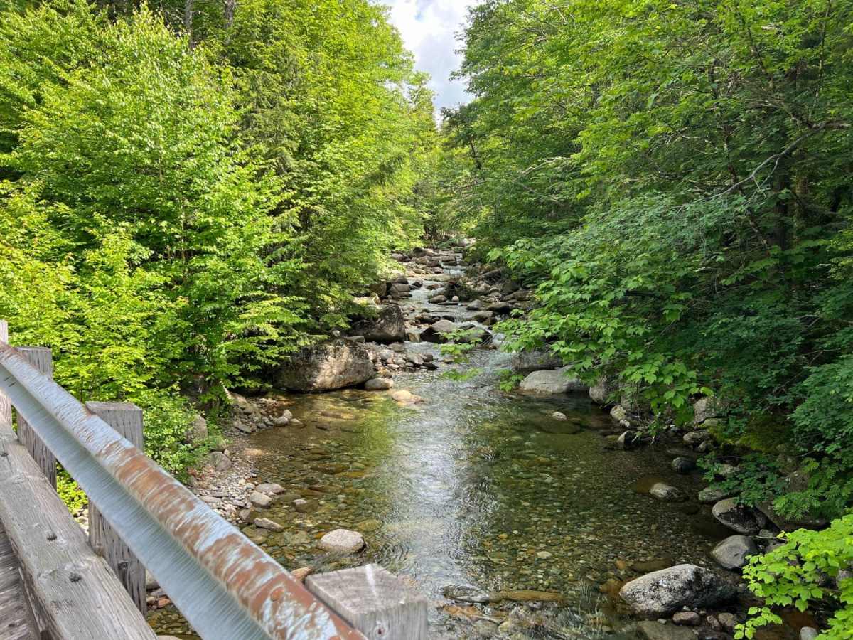 Haystack Road photo 4