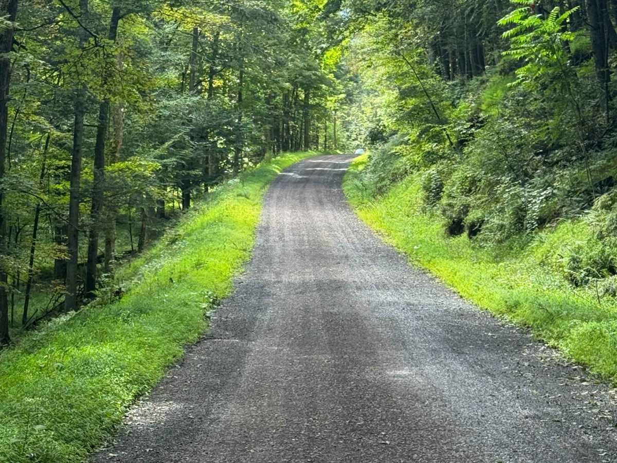 Holmes Hollow Road photo 3