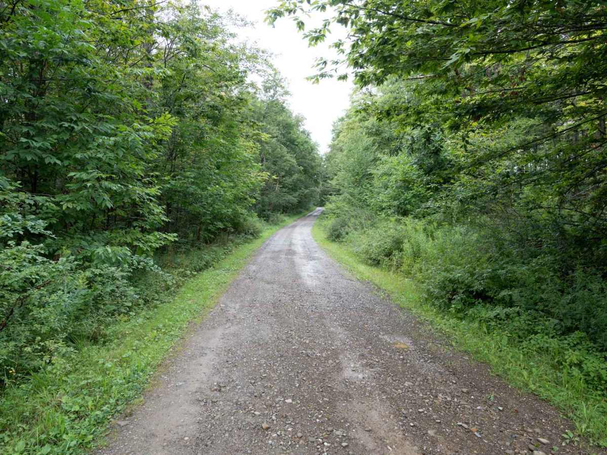 Stone Tower Road trail photo