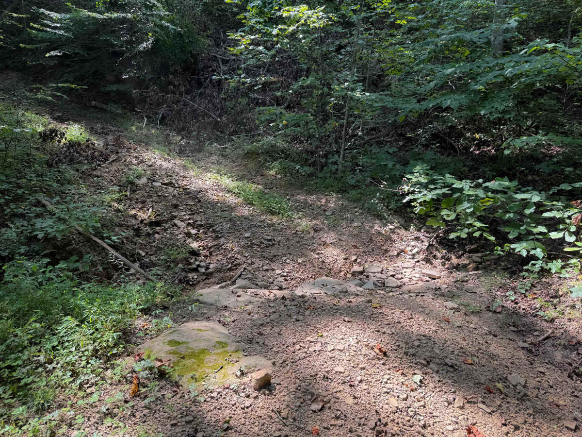 Herman Lowe Trail 25 photo 4