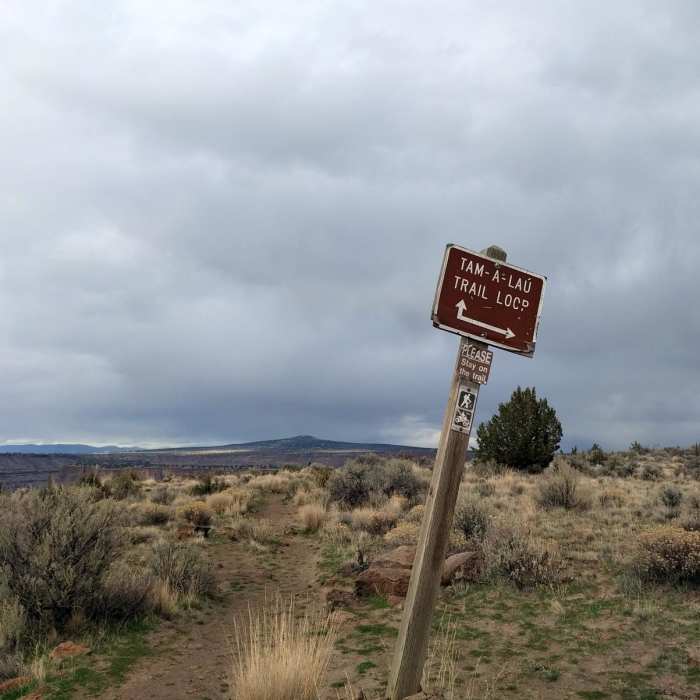 Near Tam-a-Lau Trail