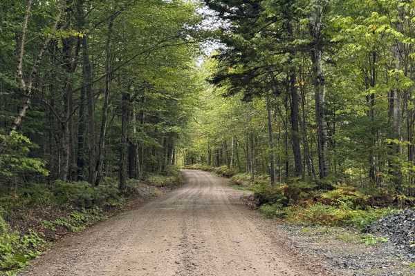 Pine Mountain Notch (Dolly Copp Rd)