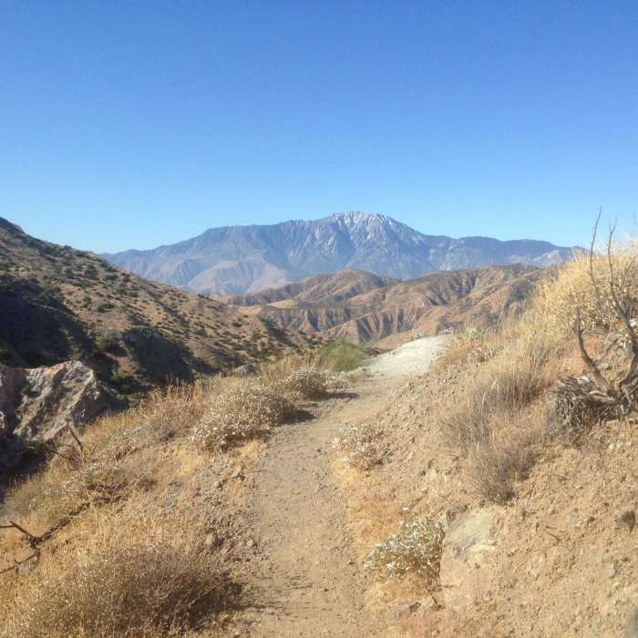 Near Cottonwood Canyon to Red Dome
