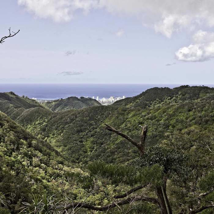 Looking out from the ridge. Near Wiliwilinui Ridge Trail