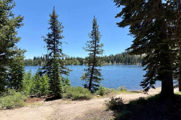 Scotts Lake Road - FS 31079