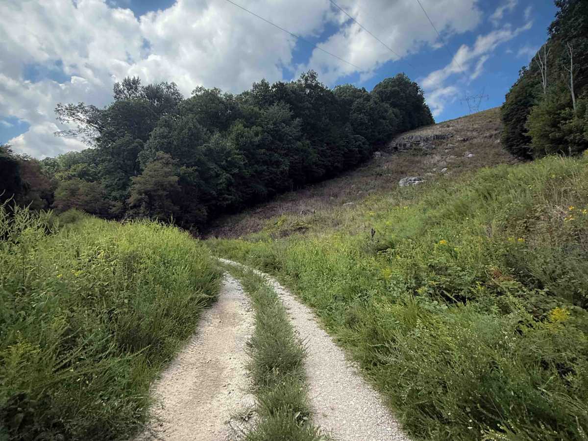 Gibson Knob Road  photo 4