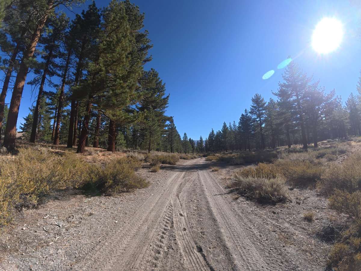 FS 2S177 trail photo
