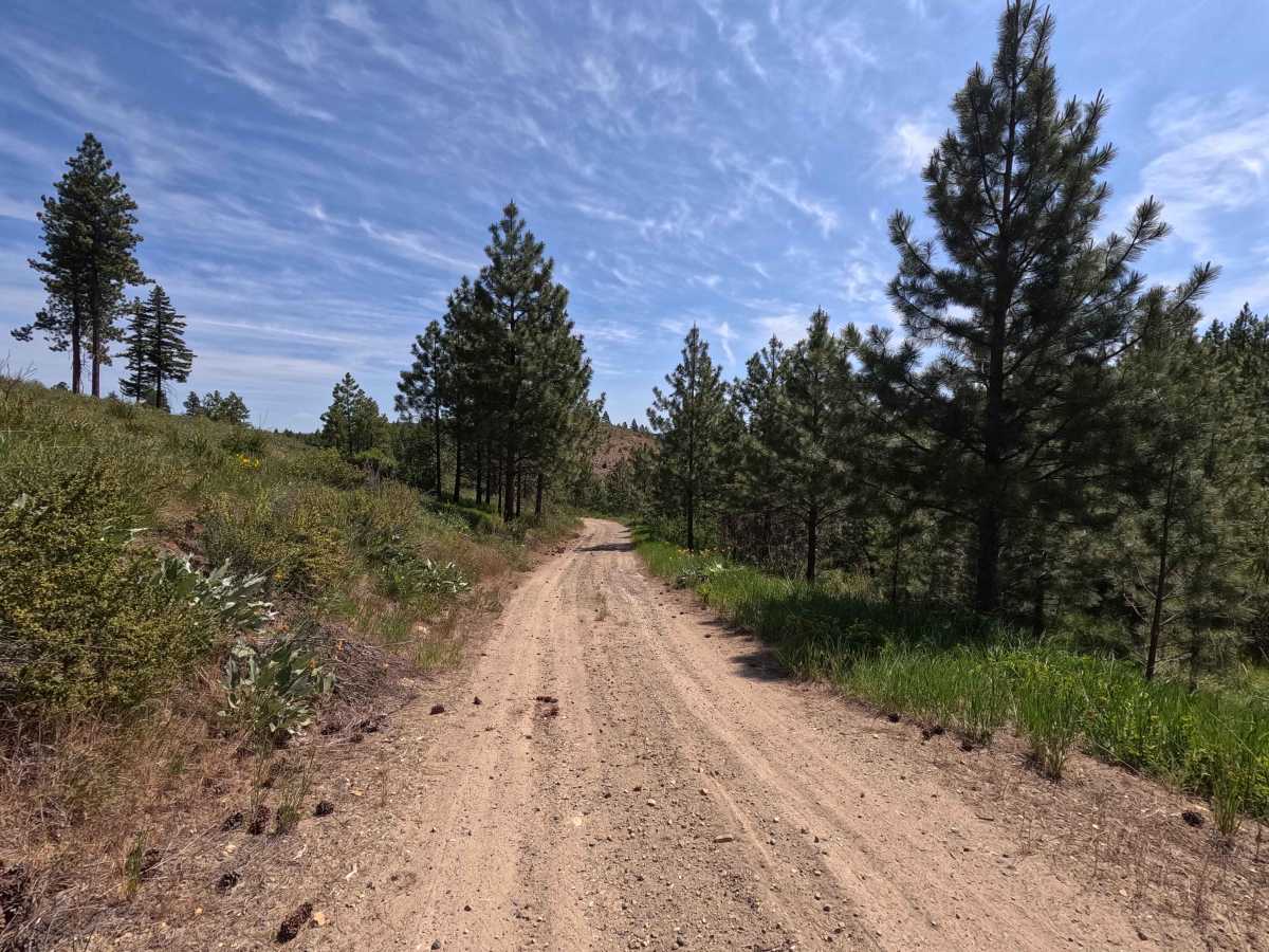 Mud Creek Road - FS 53 photo 6