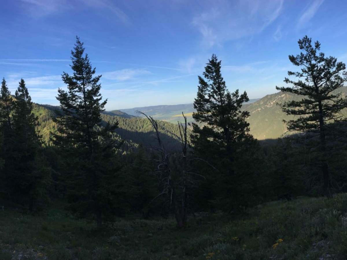 Fleming Canyon photo 6