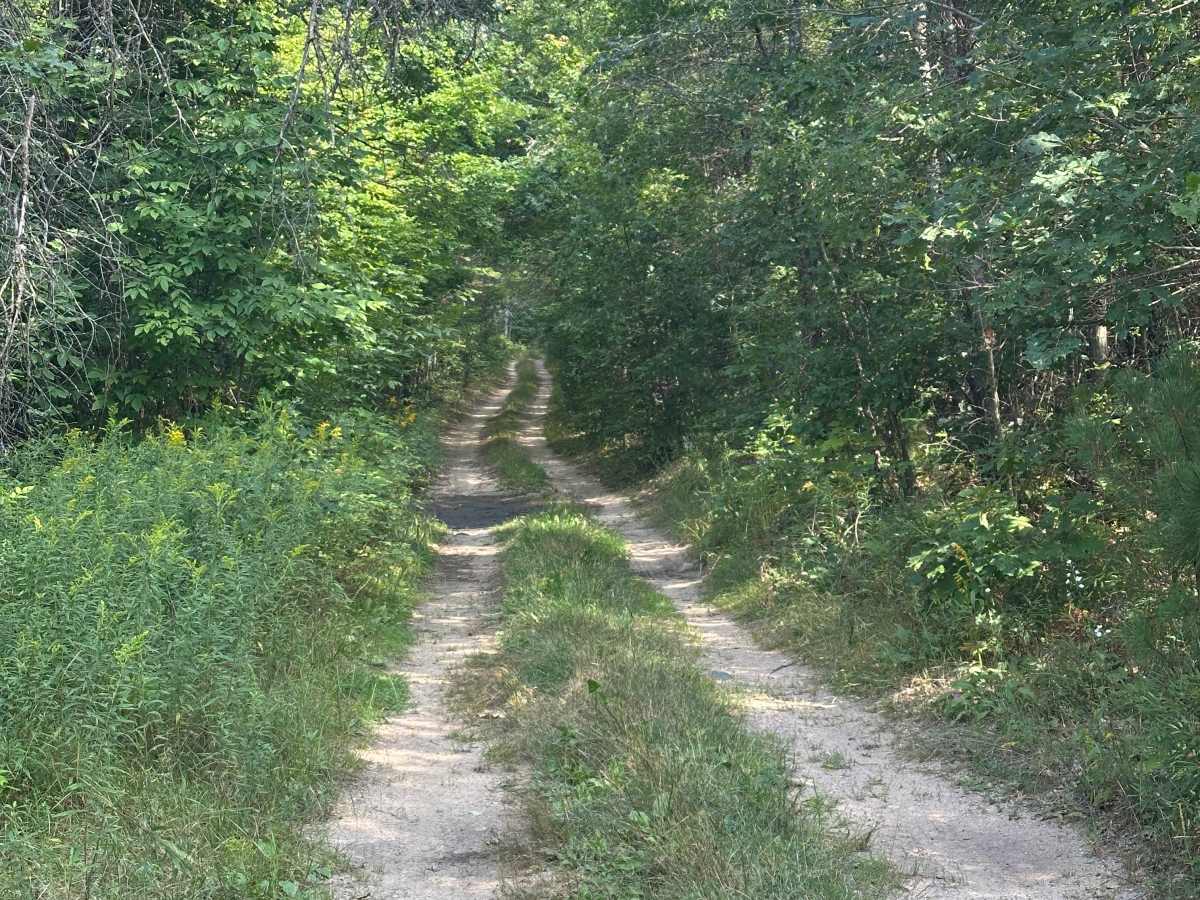 Merritt Cutover photo 2