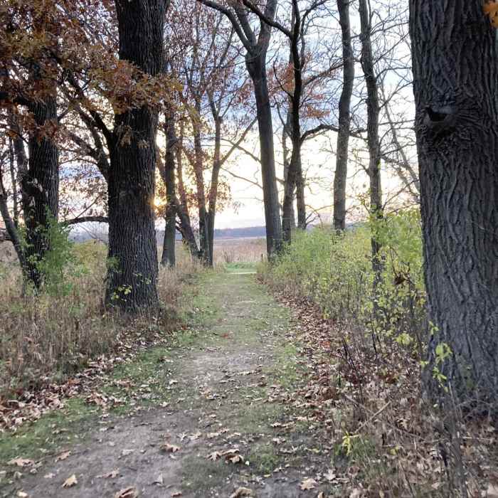 Near Elizabeth Lake Nature Preserve Loop