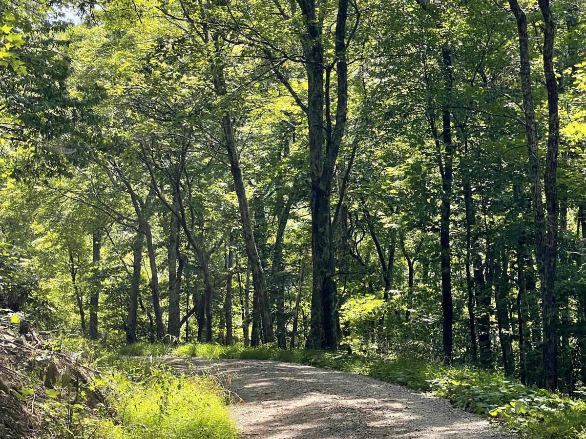 Mountain Lake Turnpike trail photo
