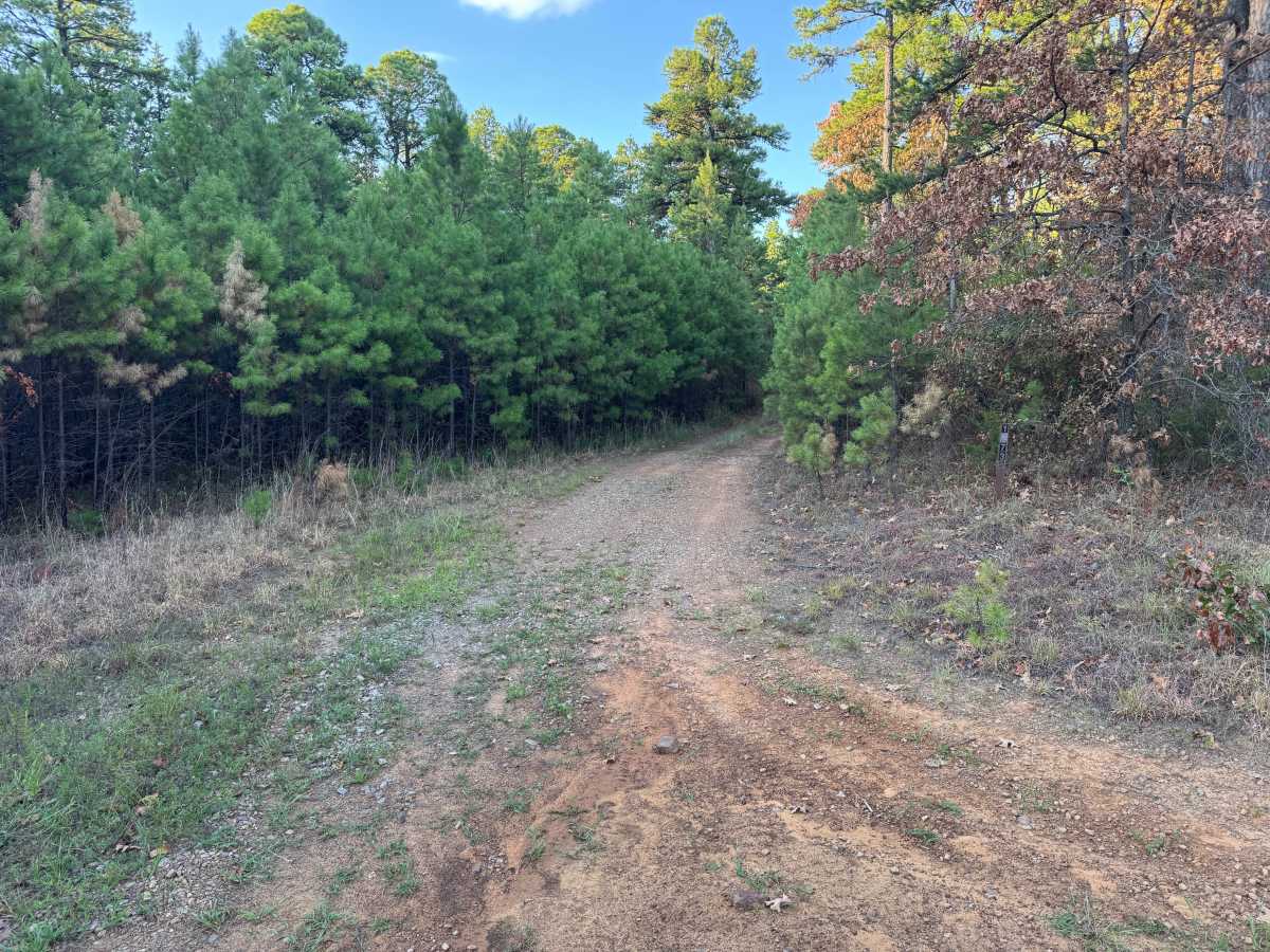 Beckett trail photo