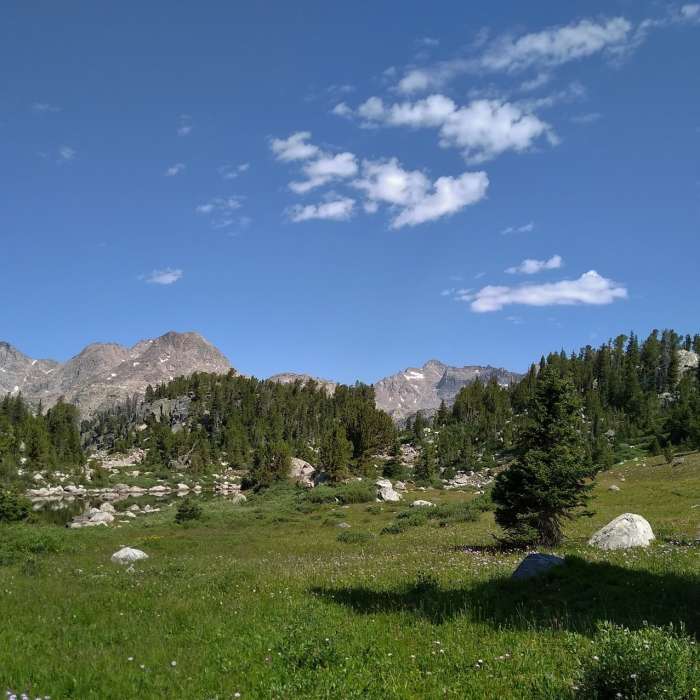 Near Cook Lake Loop Trail #7163