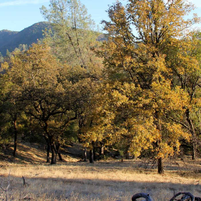 Near Point Defiance Loop Trail