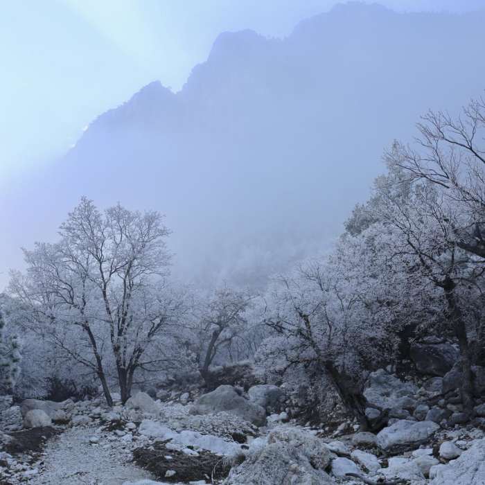 Near Devil's Hall Trail