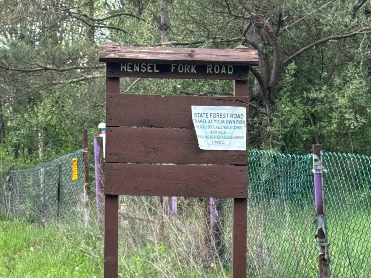 Hensel Fork Road trail photo