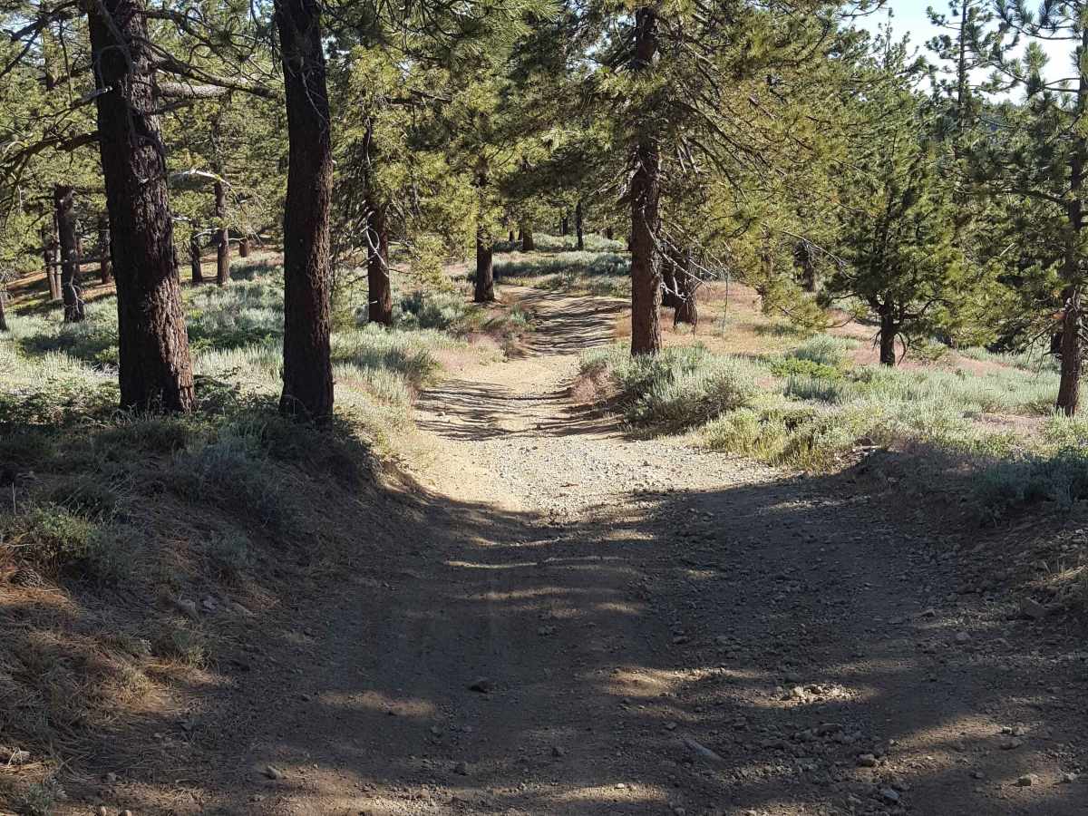 East Frazier Road - FS 8N24 photo 6