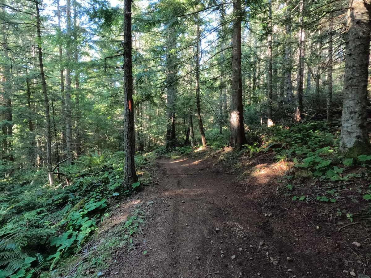 I-5 trail photo