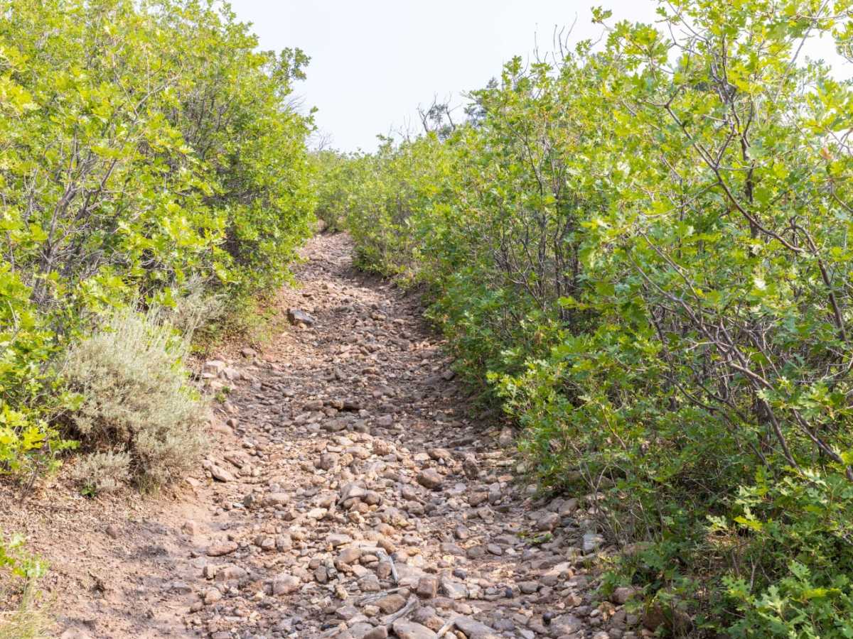 Meadow Gulch Trail photo 6