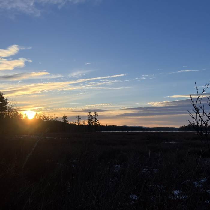 Near Green Trail