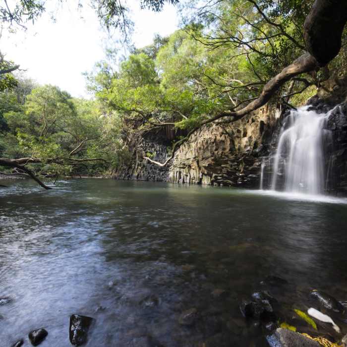 Near Twin Falls Hike + Wailele Farm