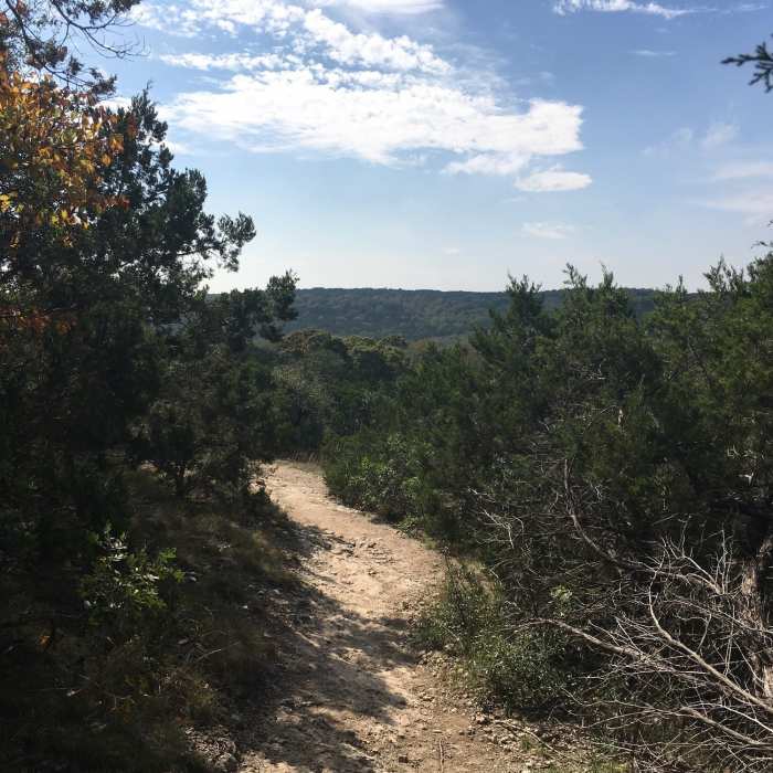 Near Restoration Way