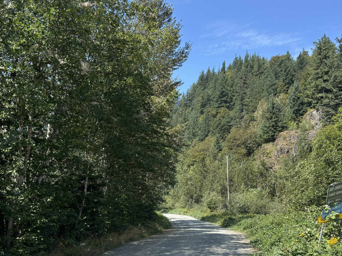 Ruby Forest Service Road trail photo