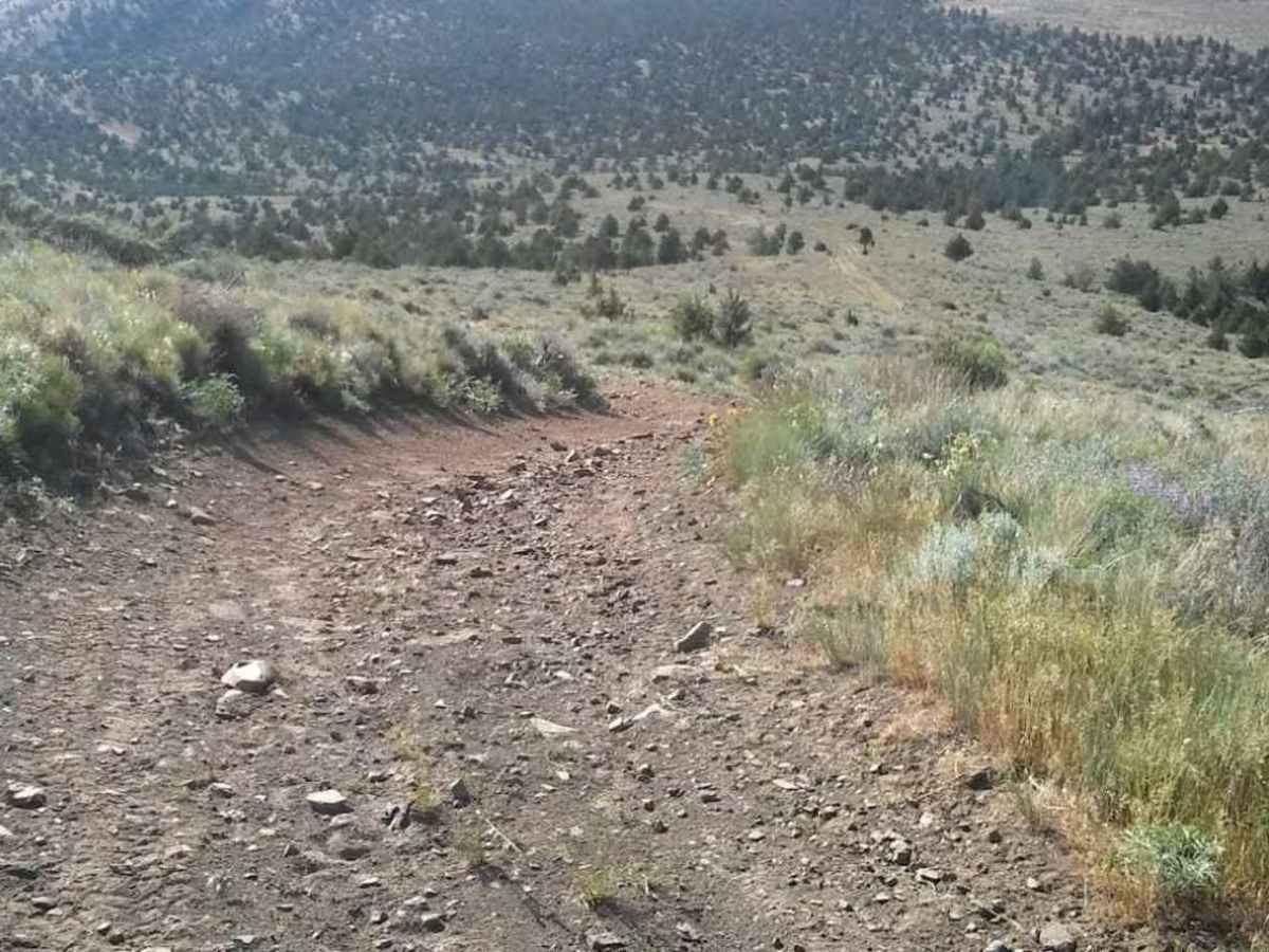 Gray Butte Summit photo 4