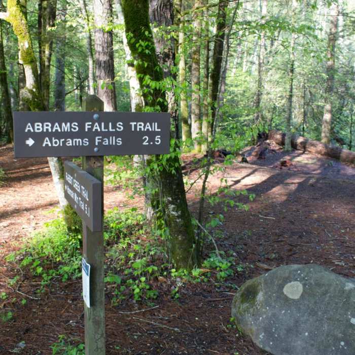 Near Abrams Falls Out and Back Near Abrams Falls Out and Back