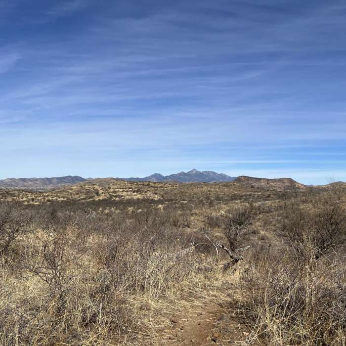 Near Arizona Trail Passage 3: Canelo Hills West