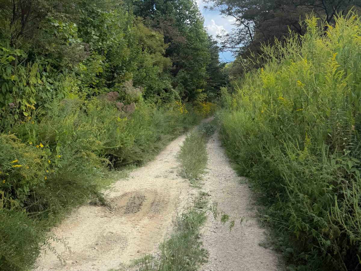 Gibson Knob Road  photo 2